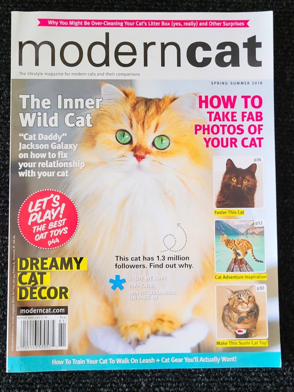 MODERN CAT Magazine Smoothie Cat Cover July 31, 2018 Jackson Galaxy